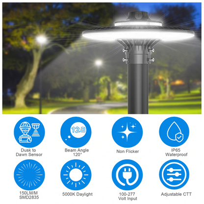 SHL 60W LED Post Top Light with Photocell – 7,800 Lumens | 5000K | IP65 Waterproof