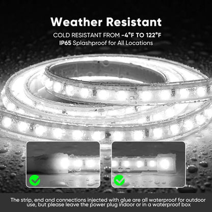 110V COB LED Strip Light – Driverless, 16FT – 6000K Cool White – 244LM/FT – IP65 Water-Resistant – Flicker-Free, Cuttable, ETL Listed – Outdoor & Indoor Tape Lighting