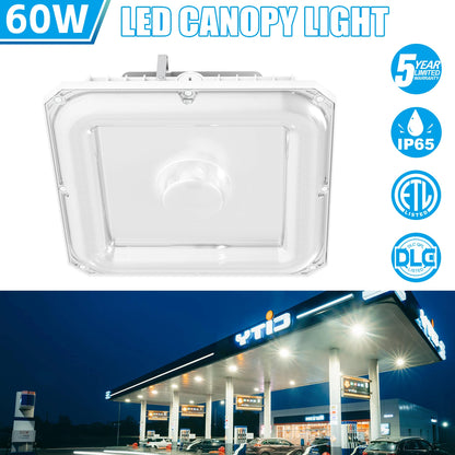 SHL 60W LED Canopy Light ETL DLC Certified CCT Wattage Adjustable IP65