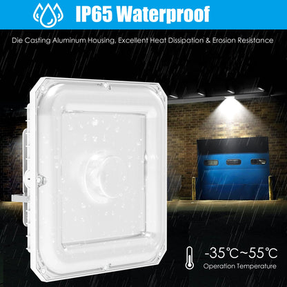 SHL 100W LED Canopy Light ETL DLC Certified CCT Wattage Adjustable IP65